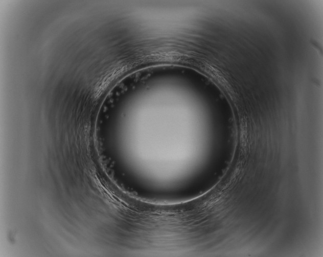 X0000100970434200806241555