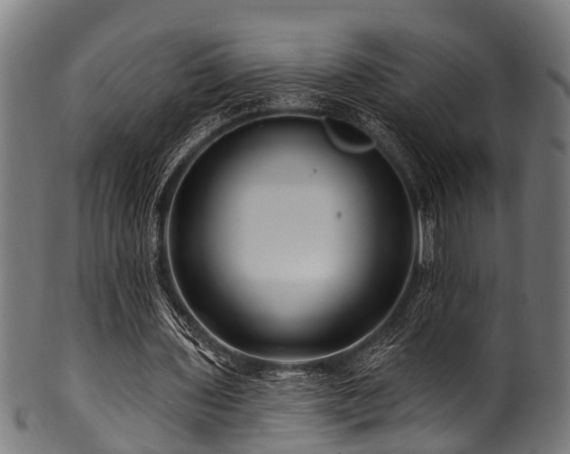 X0000100970435200806241555