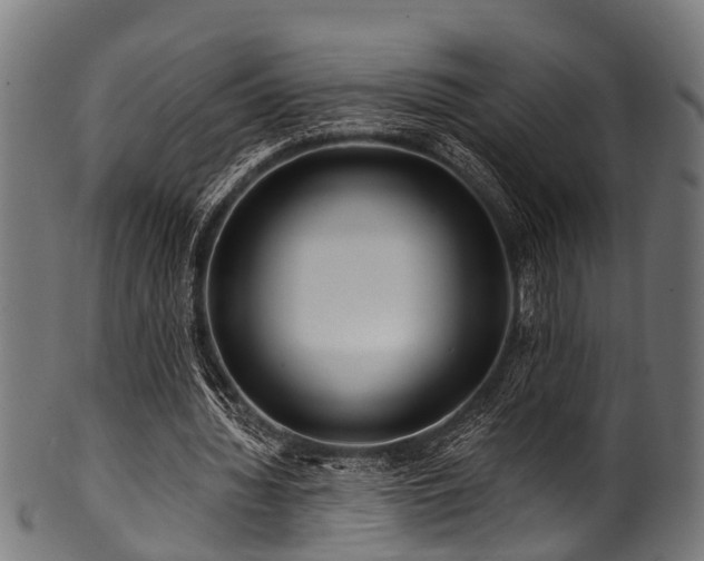 X0000100970436200806241555