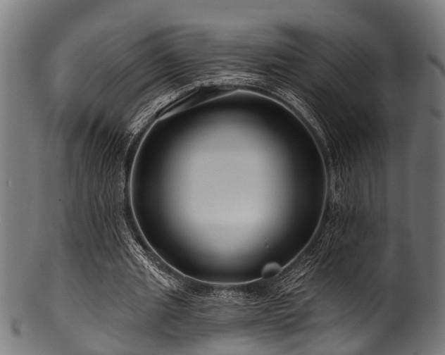 X0000100970437200806241555