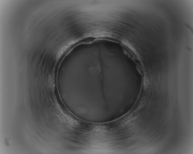 X0000100970438200806241555