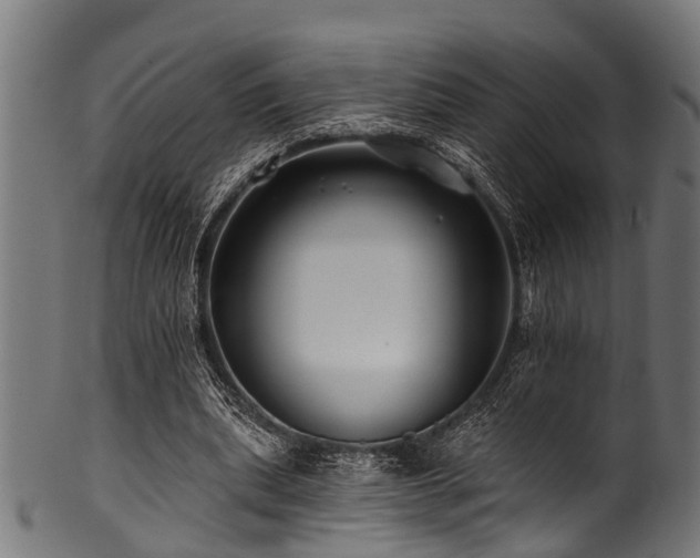 X0000100970439200806241555