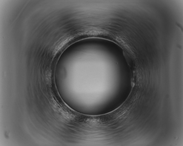 X0000100970440200806241555