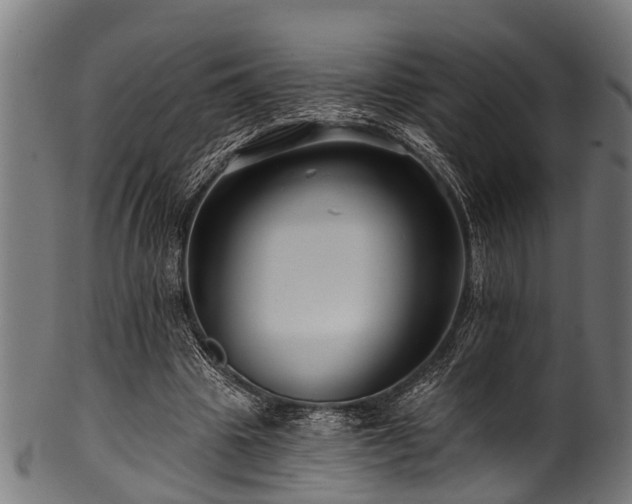 X0000100970441200806241555