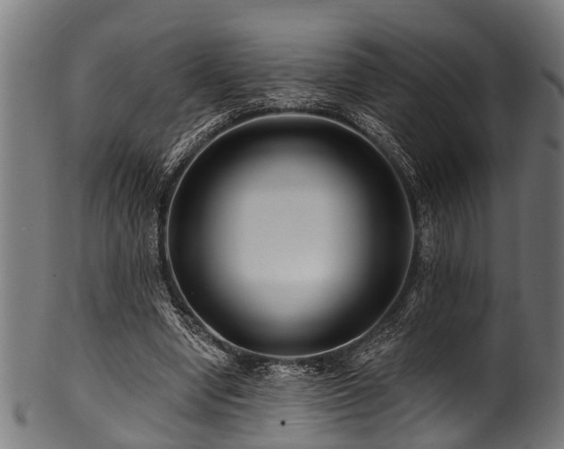 X0000100970442200806241555