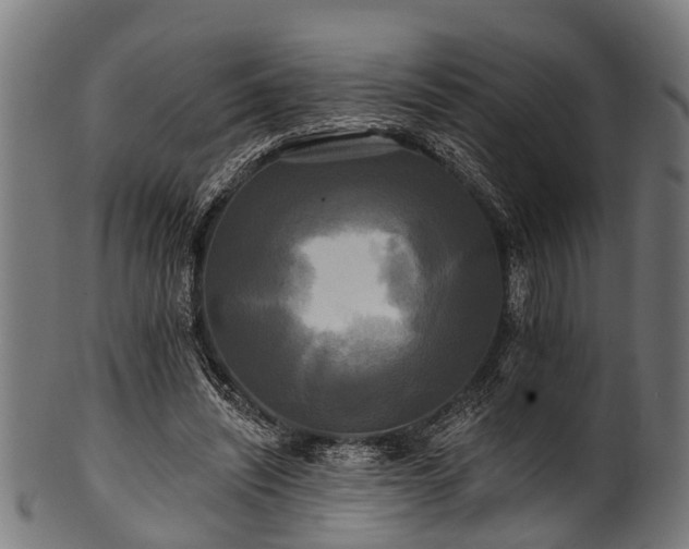 X0000100970444200806241555