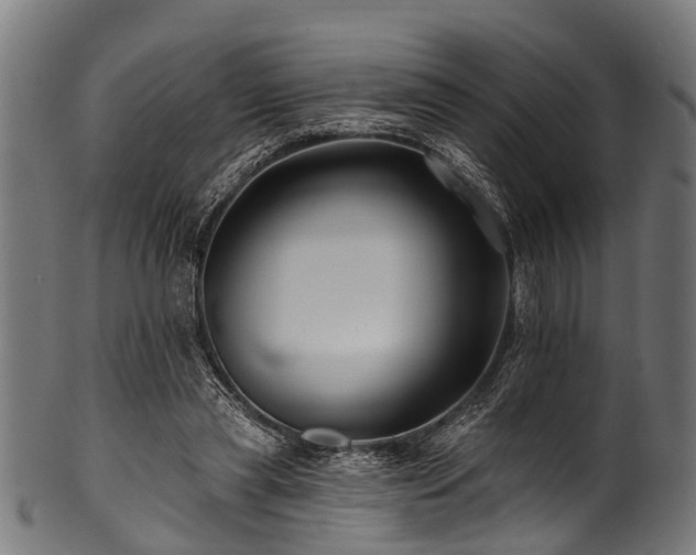 X0000100970445200806241555