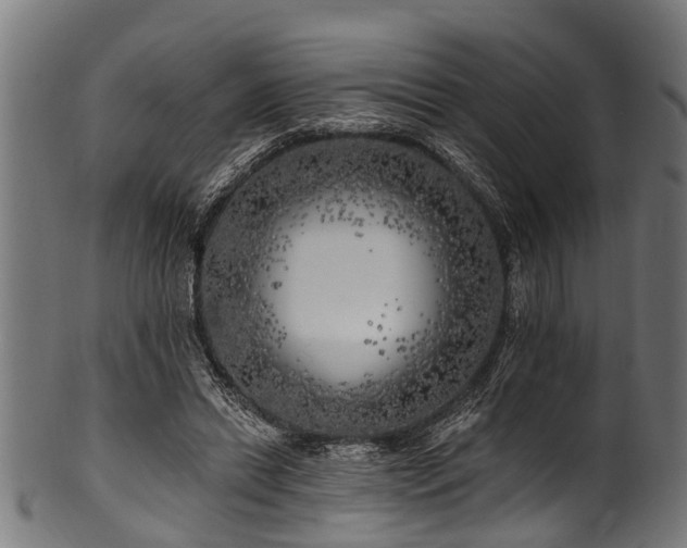 X0000100970446200806241555