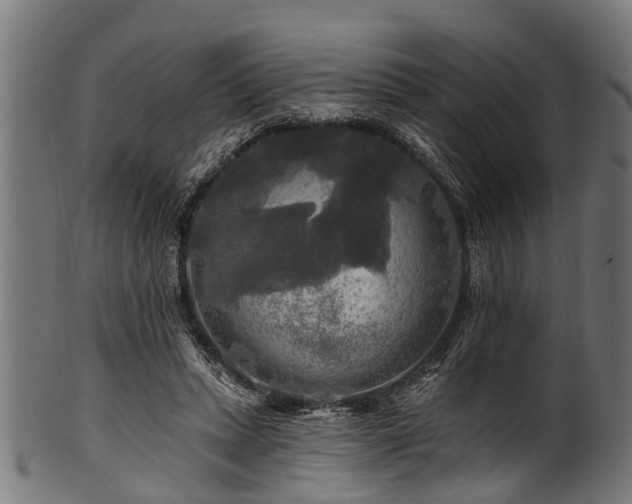 X0000100970447200806241555
