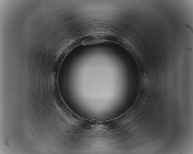 X0000100970448200806241555