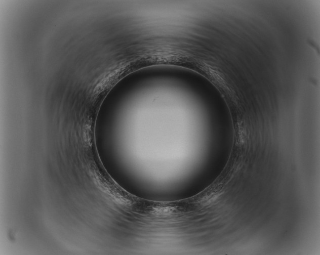 X0000100970450200806241555