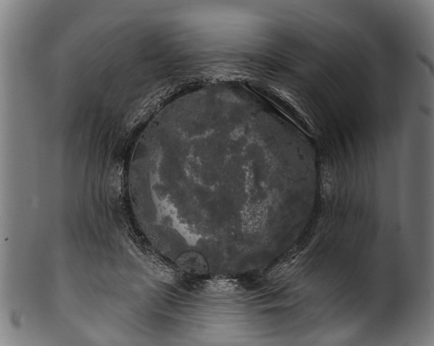 X0000100970451200806241555