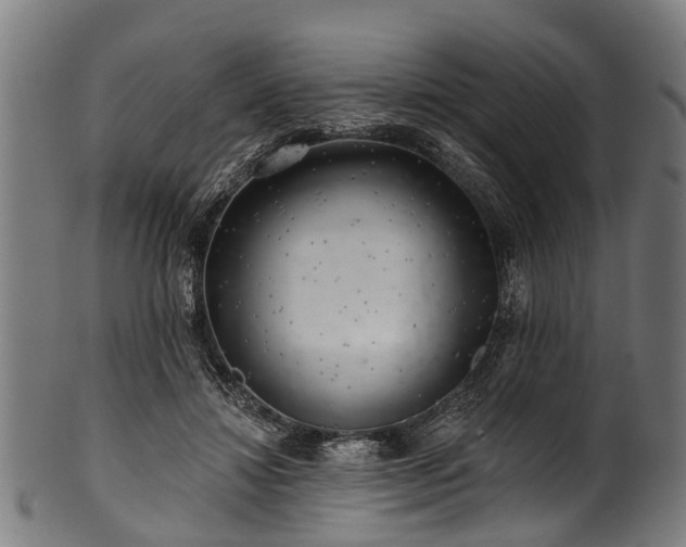 X0000100970452200806241555