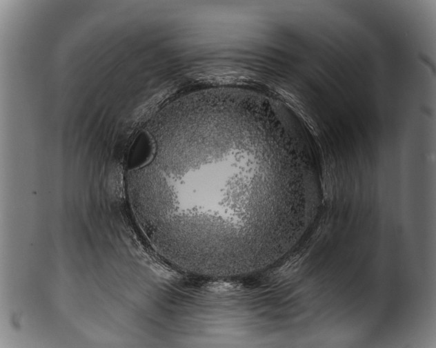 X0000100970453200806241555