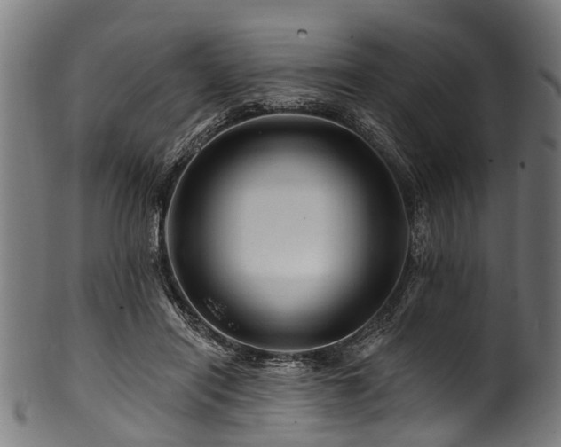 X0000100970454200806241555