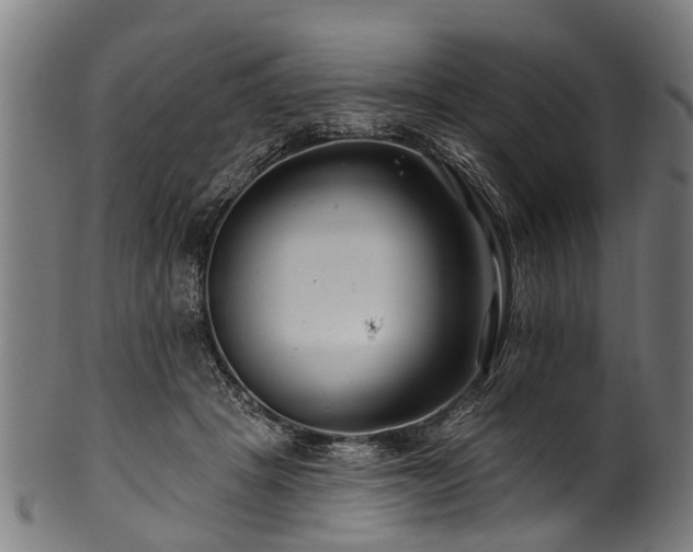 X0000100970457200806241555