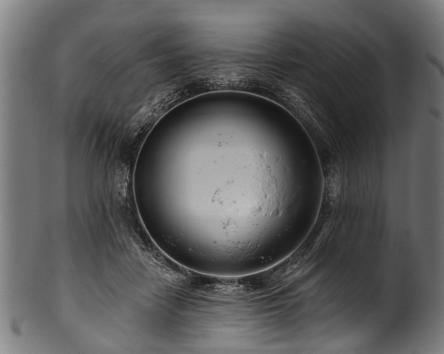 X0000100970458200806241555