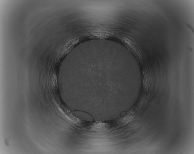 X0000100970459200806241555
