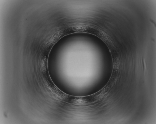 X0000100970460200806241555