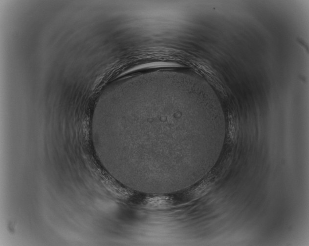 X0000100970461200806241555