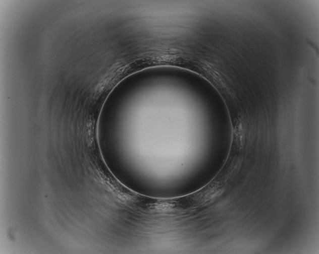 X0000100970462200806241555