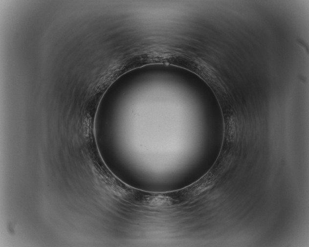 X0000100970463200806241555