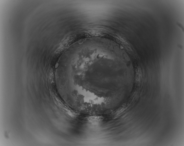 X0000100970465200806241555