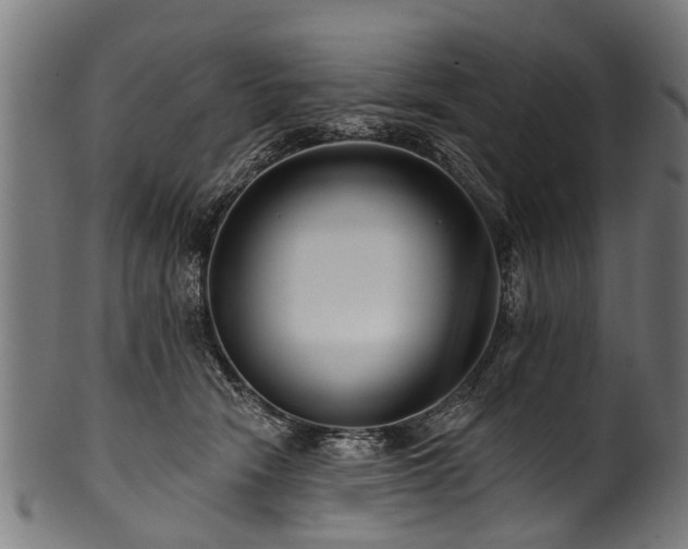 X0000100970466200806241555