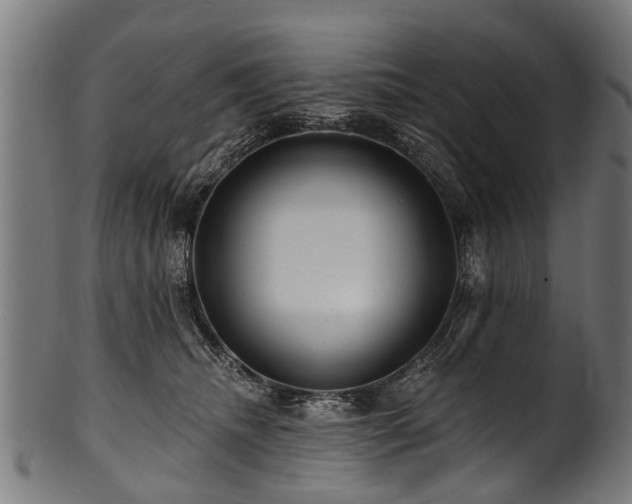 X0000100970468200806241555