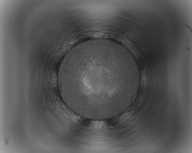 X0000100970469200806241555