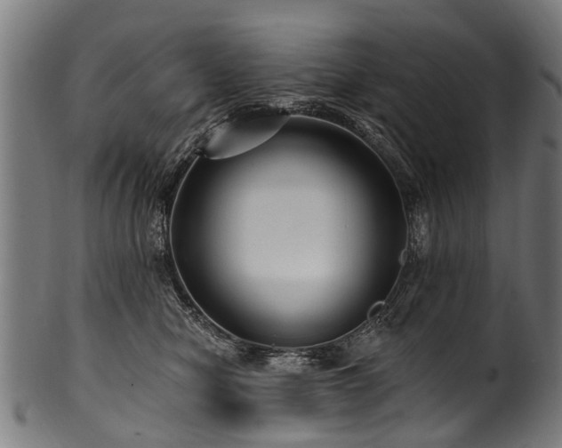 X0000100970470200806241555
