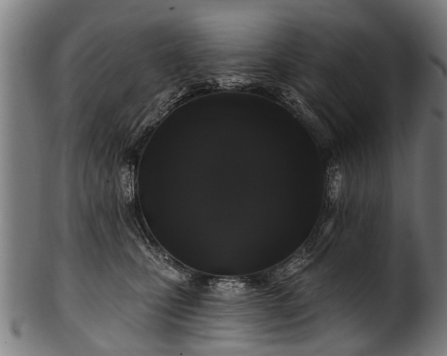 X0000100970471200806241555