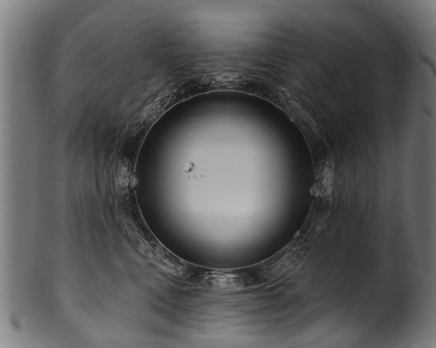 X0000100970472200806241555