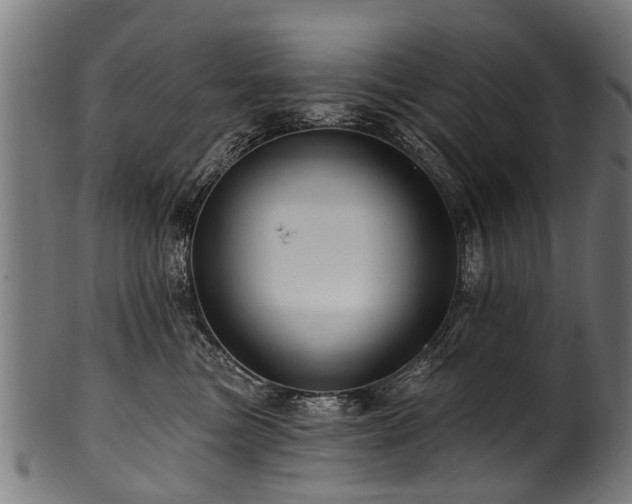 X0000100970473200806241555