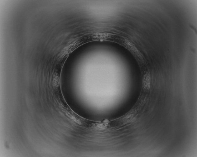 X0000100970474200806241555