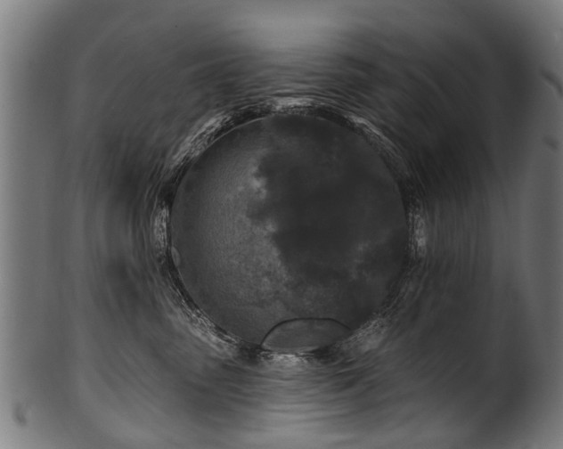 X0000100970475200806241555