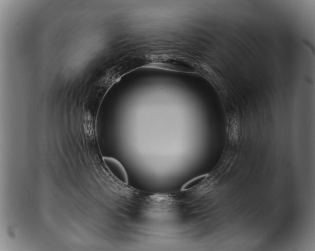 X0000100970477200806241555