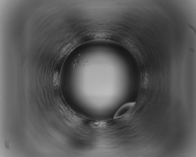 X0000100970478200806241555