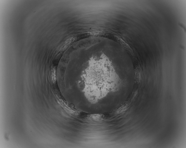 X0000100970479200806241555
