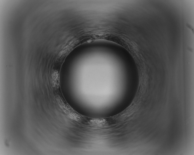 X0000100970480200806241555