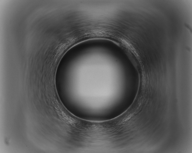 X0000100970481200806241555