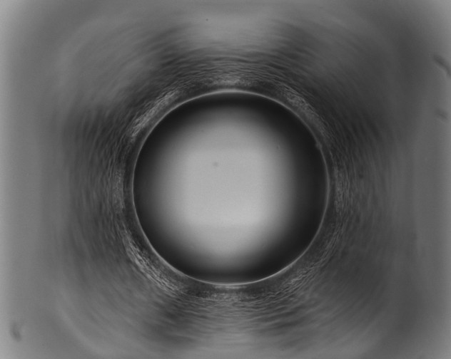 X0000100970482200806241555