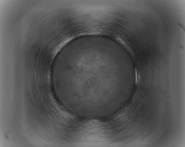 X0000100970483200806241555