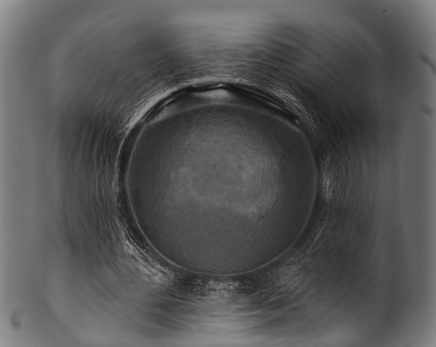 X0000100970484200806241555