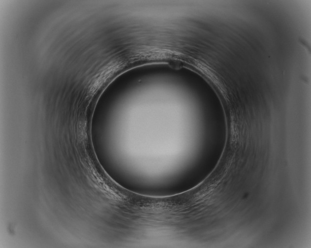 X0000100970485200806241555