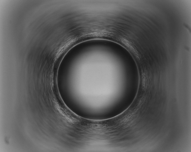 X0000100970486200806241555