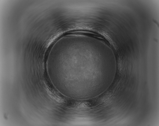 X0000100970488200806241554