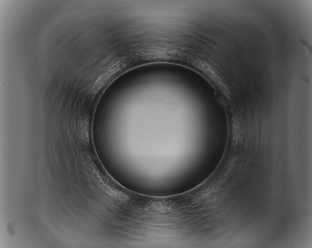 X0000100970489200806241554