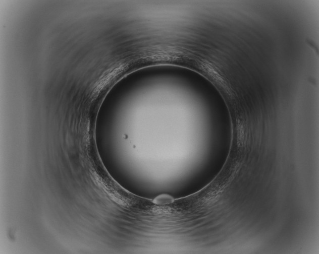 X0000100970490200806241554