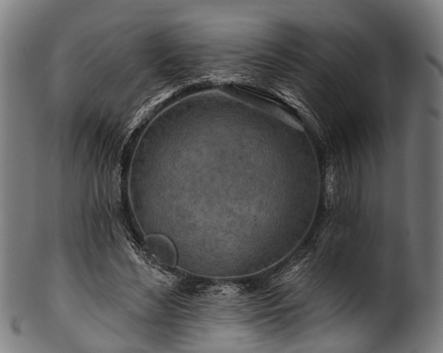 X0000100970492200806241554